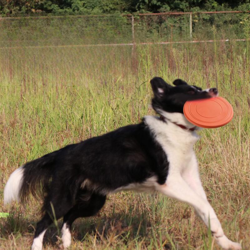 Pet Toys, Dog Frisbees, Pet Interactive Training Frisbees, Floating Water, Biting Soft Frisbees, Pet Supplies