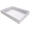 Leigu PP Chemical Resistant Square Tray