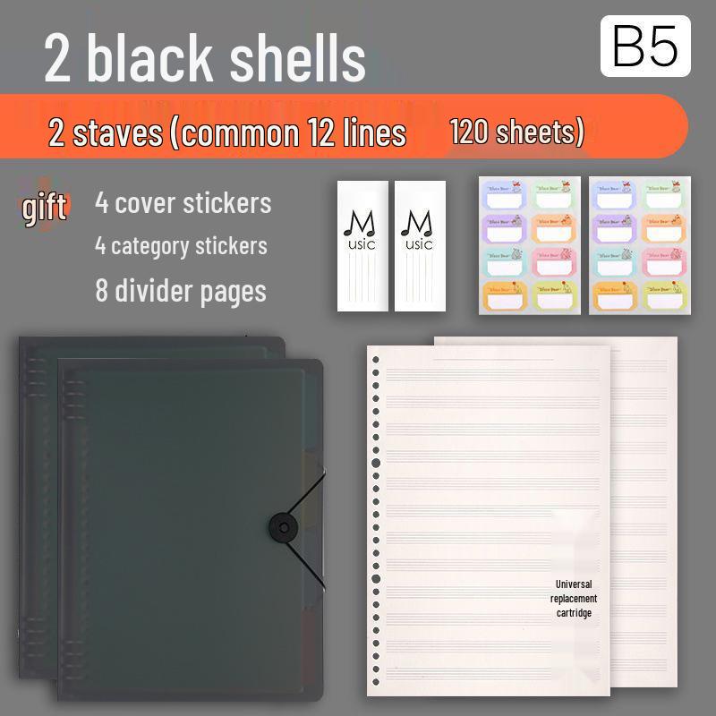 Professional Loose-leaf Music Staff Paper Book: Wide Spacing for Beginners and Students (Large Grid)