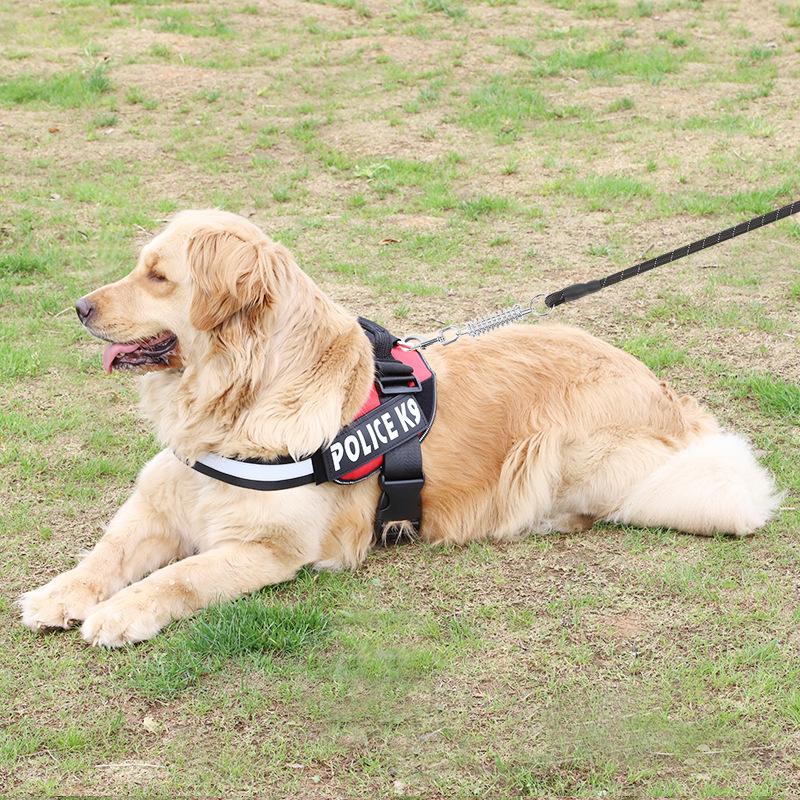 EVA reflective belt, spring pet leash, chest and back clothing with simple extended dog rope supplies