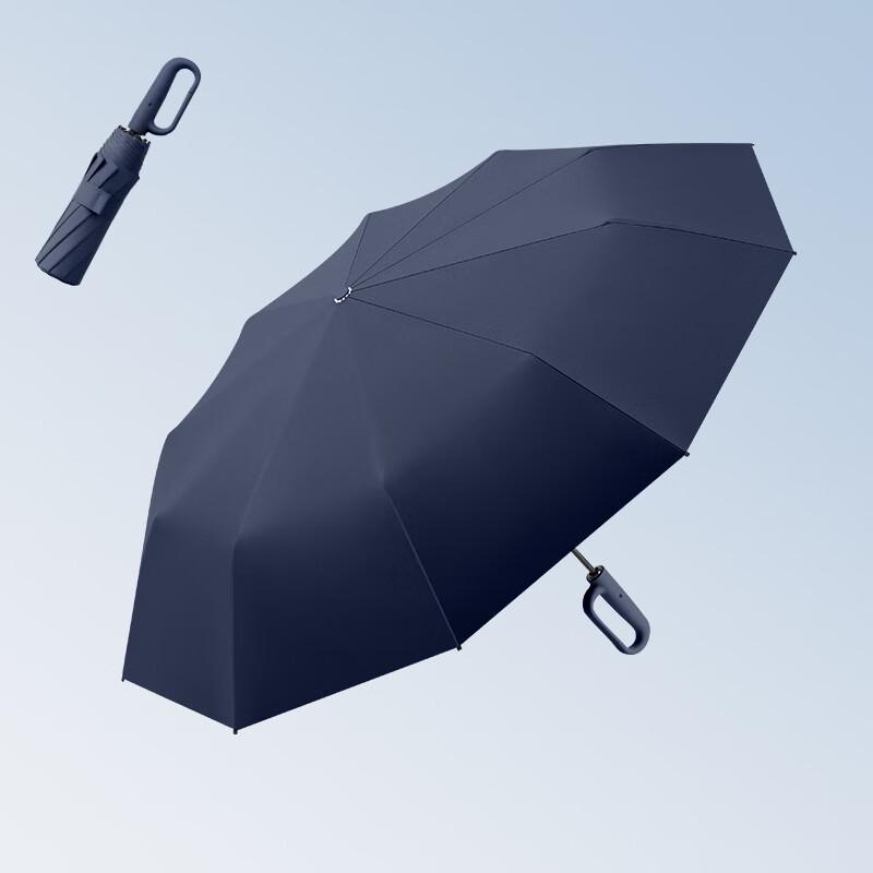 Pulian Automatic Stormproof All-Weather Umbrella