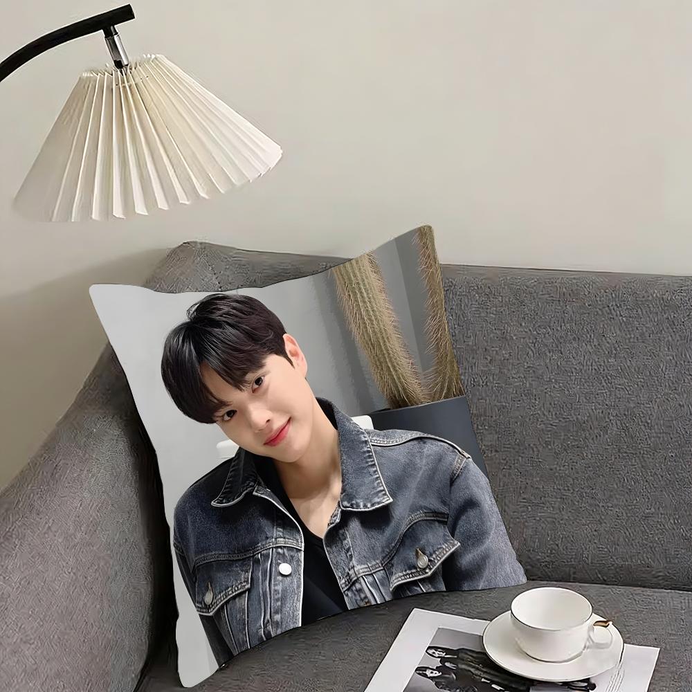 SSong KanGg Actor Cushion Cover Pillowcase Ultra Soft Skin Friendly Fabric Cloud Like Comfort Concealed Zipper