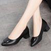 Pointed Toe Shallow Mouth Fashionable Genuine Leather Soft Sole Solid Color Thick Heel Fashionable Square Buckle Versatile Women's Shoes