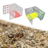 ANT Farm Easy To Assemble Workshop Moisture House Nest Box Breeding Case for Tabletop Science Observation