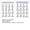 2Pcs Chair Exercise for Seniors 30-Day Plan Poster Seated Tai Chi Workout Chart for Elderly Low Impact Mobility Fitness