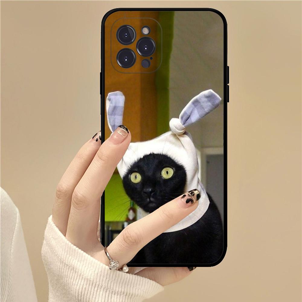 Pet Cat Funny Memes Phone Case For IPhone 16 15 14 11 12 13 Mini Pro XS Max Cover 6 7 8 Plus X Funda Shell