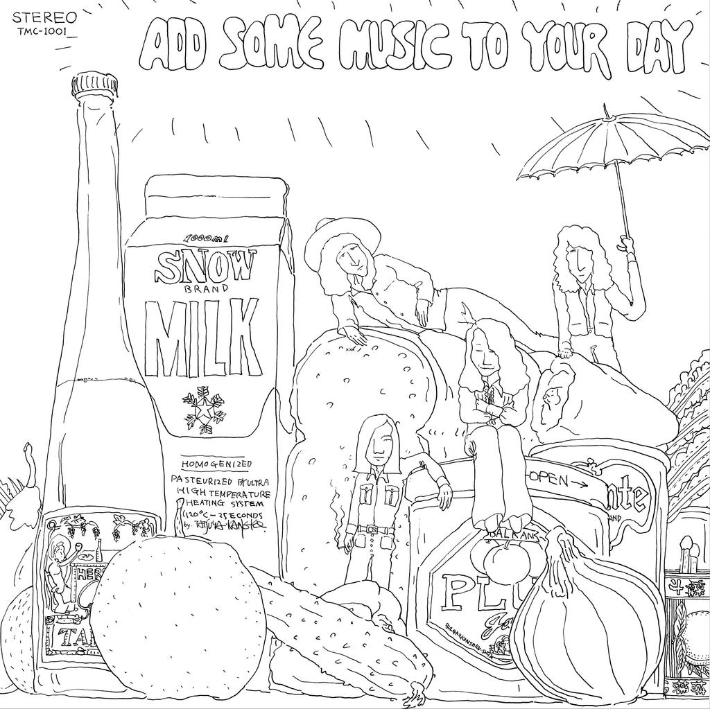 ADD SOME MUSIC TO YOUR DAY (Analog) [Analog]