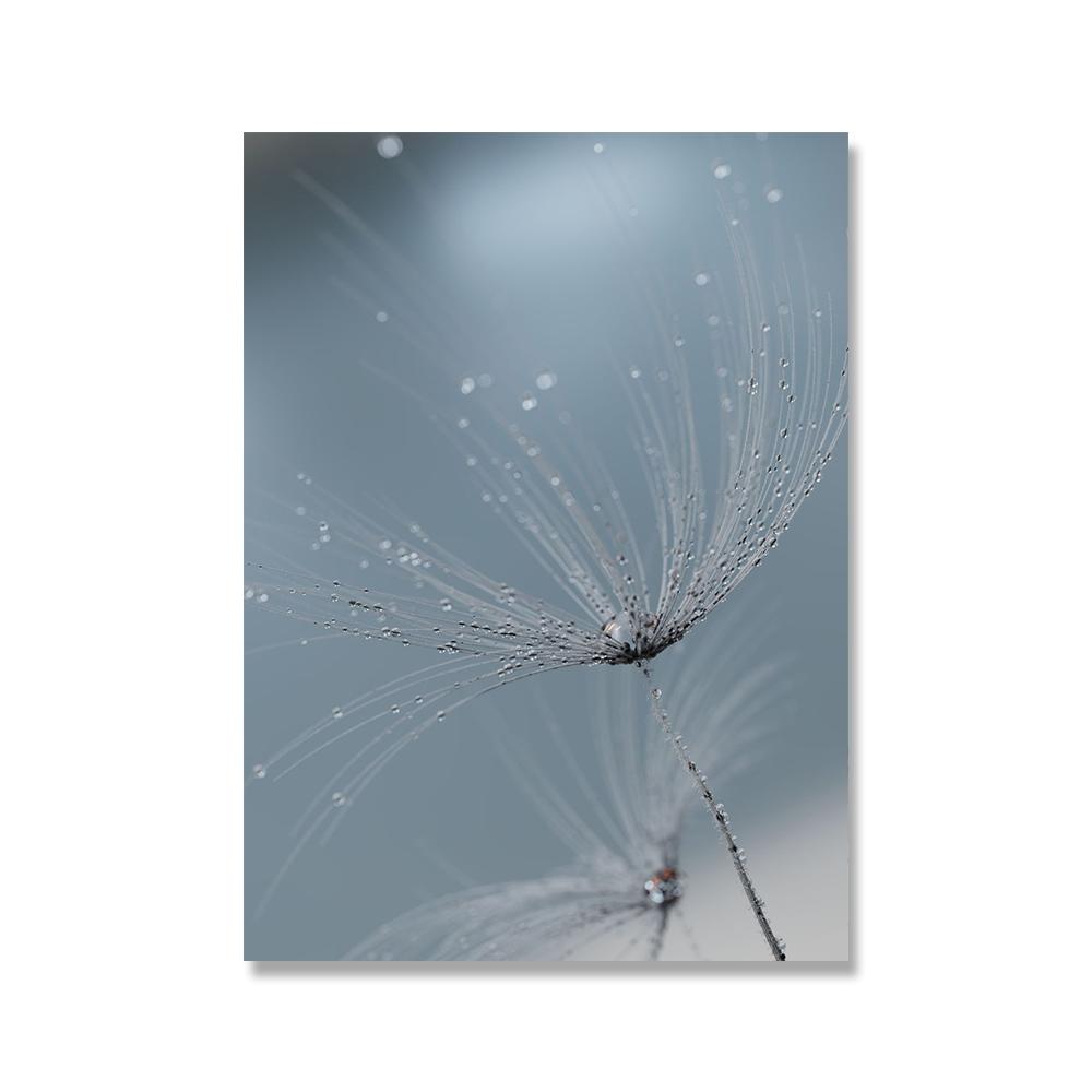 

Серо-голубое растение Одуванчик Суккулент Картина на холсте Скандинавский пейзаж Фотография Постер Современный домашний декор Гостиная Спальня 21x30cm No Framed