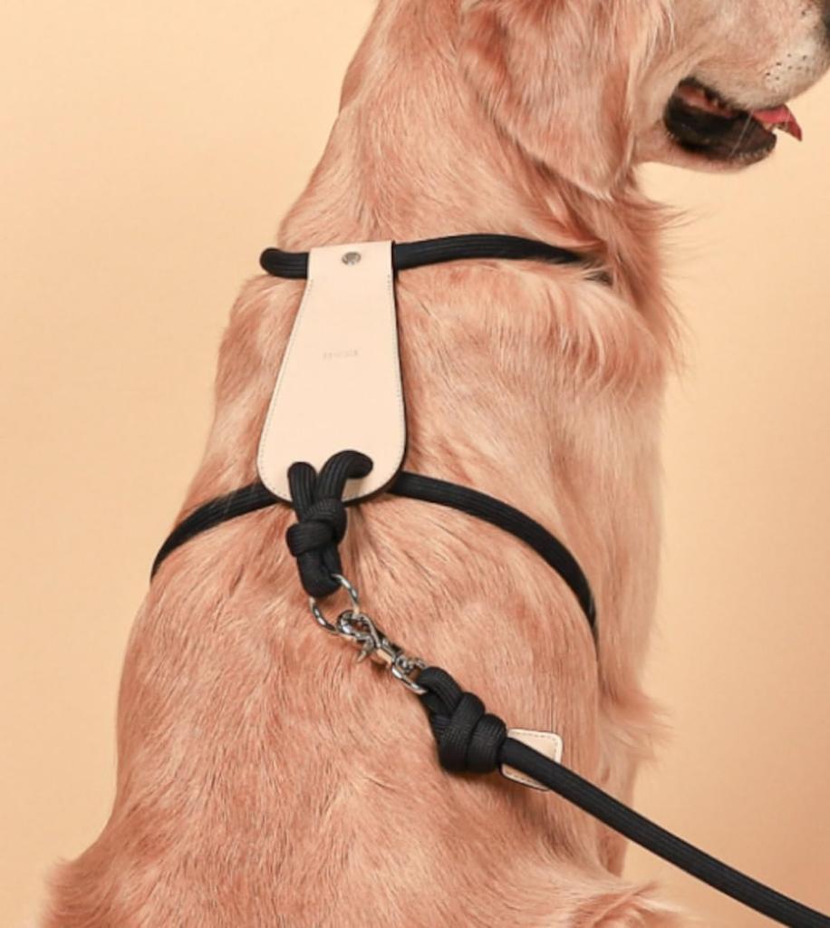 Essential Harness Dog Pet Rope Come Small Medium Large Dog Come Soft Harness All Dog Breeds [HOZI] Harness, Harness, Harness, Stylish, Soft, Washable,