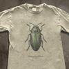 Jewel Beetle Illustration T-Shirt, Dark Academia Cottagecore Botanical