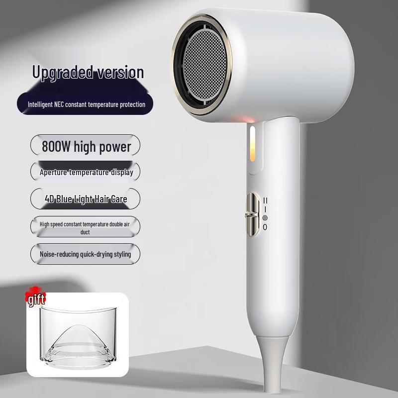 LISM F8 Negative Ion Portable Hair Dryer