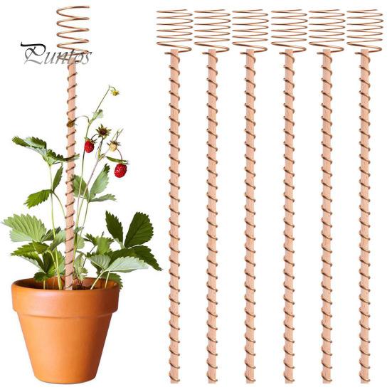 6 Pali per Piante per Elettrocoltura, Pali da Giardino in Rame Lunghi da 10 Pollici, Antenne a Bobina in Rame per Giardinaggio Elettrocoltura per Coltivazione di Giardino, Piante