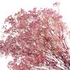 Gypsophila Preserved Flowers for DIY Arrangements & Wedding Decorations