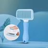 Cães – Produtos para cuidar do pelo de cães