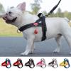 Spliced Colors Dog Harness Kit Adjustable Pet Walking Straps  for Small Medium Large Dogs