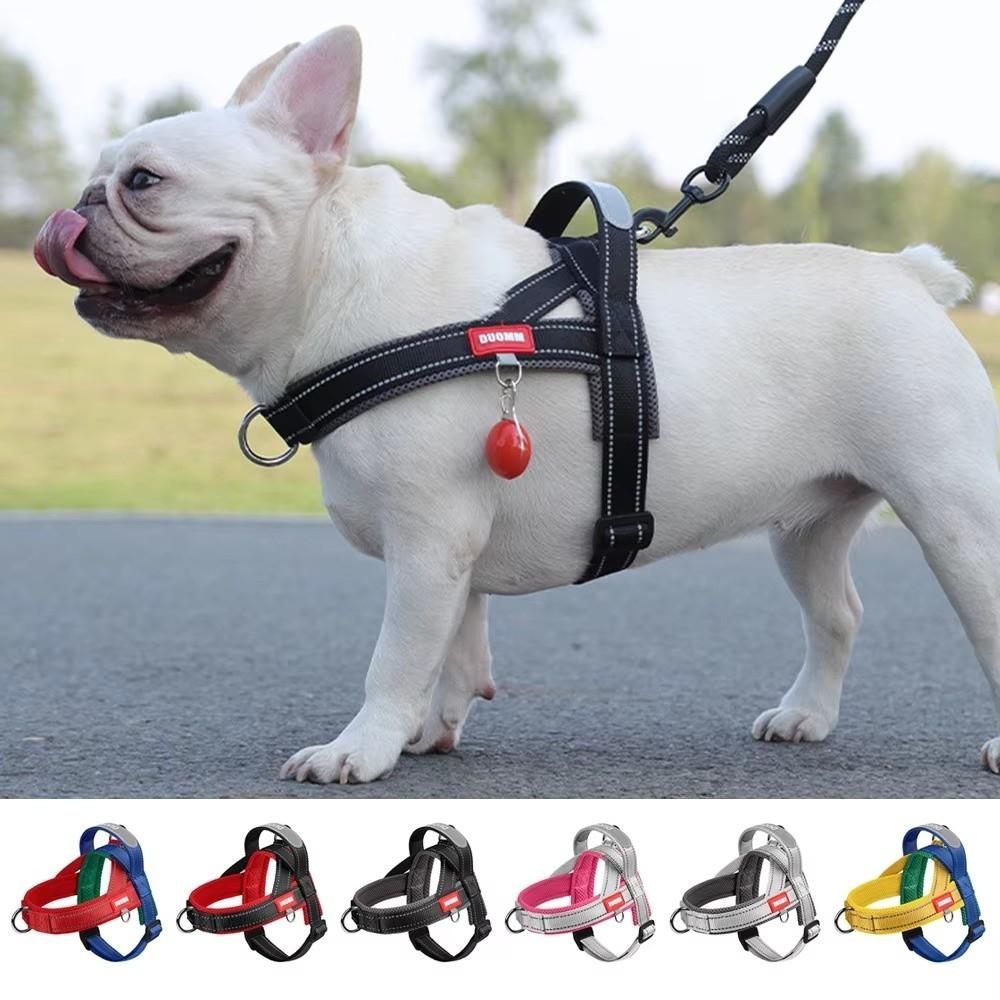 Spliced Colors Dog Harness Kit Adjustable Pet Walking Straps  for Small Medium Large Dogs