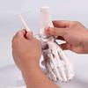 Realistic Human Foot Bone Model Teaching Aids For Enhanced Learning In Anatomy Classes And Clinical Skeletal Detail