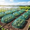 Pop Up Plant Cover Mesh Garden Protector Tent with Ground Stakes Foldable Plant Protection Netting for Vegetables Flowers Seedlings from Animals