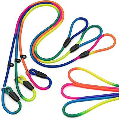 Guinzaglio Scivolante Arcobaleno per Cani, Guinzaglio di Addestramento per Animali Domestici Anti-Tiraggio per Cani di Taglia Media e Piccola Tappini in Pelle Guinzaglio per Cani