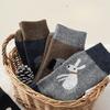 Autumn and Winter Warm Wool Socks, Dot-yarn Illustration, Mid-calf Socks, Retro Ladies, Pile Socks for Women