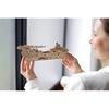 UGEARS Neptun-Mission 3D-Holzpuzzle – mechanischer Holzmodellbausatz zum Bauen