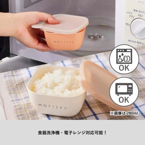 MOTTERU Write-On and Erasable Food Containers, Set of 2 (Peach Orange, 400ml)