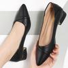 Thick heel single shoes women's low heel pointed 2025 new spring shallow mouth women's shoes flat low heel small leather shoes work shoes women