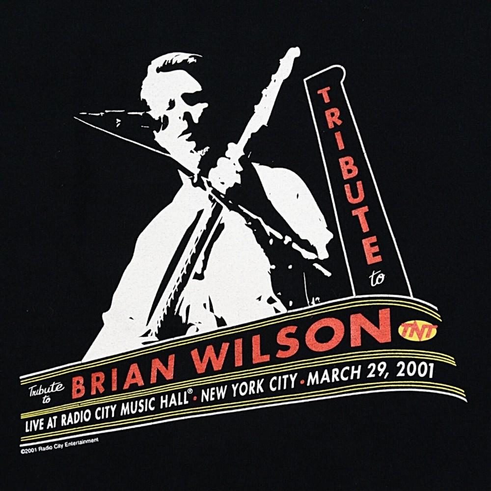 Tribute to BRIAN WILSON 2001 Shirt Classic Black Unisex S-5XL 1J0135 Unisex T-Shirt XXL