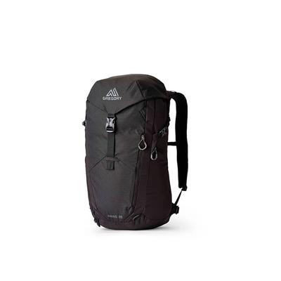 Gregory Backpack