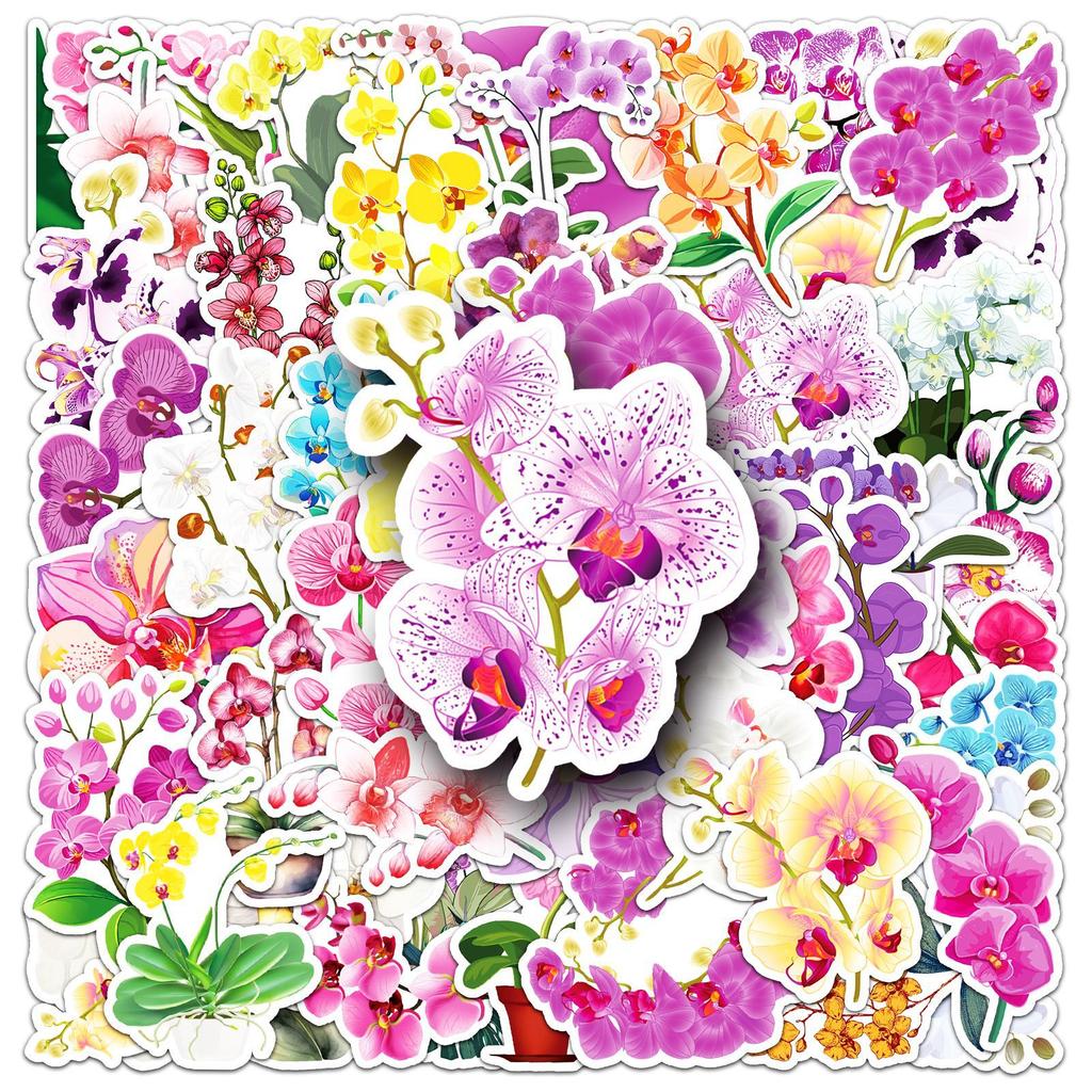 50 Phalaenopsis Graffiti Stickers Personalized Small Fresh Plant Flowers Decoration Mobile Phone Case Suitcase Stickers