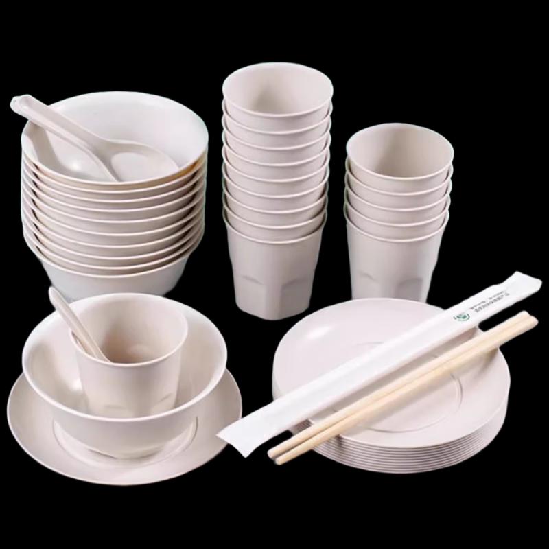 Shengbilai 4-Piece Disposable Tableware Set