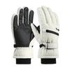 Ski Snowboard and Sports Gloves with and Cold Touchscreen Loss and Storage and Warm for Snow and Outdoor Activities Men's Gloves, Gloves, Waterproof,