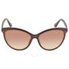 Brown Cat Eye Ladies Sunglasses Ck19534s 210 58