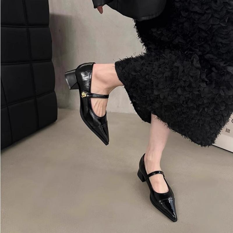 Puntige kleine leren schoenen dames 2025 nieuw voorjaar dikke hakken lage hakken hoge hakken retro Franse temperament Mary Jane enkele schoenen