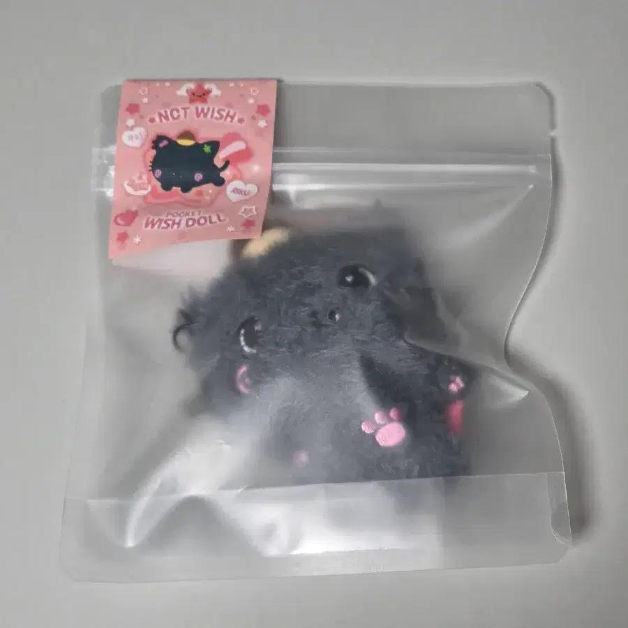 NCT Wish Pocket Wish Doll Kuri (Riku)