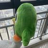 Güzel Yeşil İkili Peluş Duo Baykuş Karikatür Anime peluş oyuncak Yumuşak Doldurulmuş Hayvan Peluş Bebek Çocuk doğum günü hediyesi