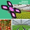 Luce per piante a LED ad alta potenza, pieghevole, per la crescita di piante, per interni, per vasi succulenti, per piantine