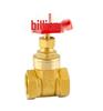 Brass Gate Valve for Water Meters with Thickened Silk Thread and PPR2 Double Hot Melt (4-6 Points)