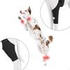 Dog Hip Leg Brace Sleeve Adjustable Quick Installation Soft Anti Slip Strap