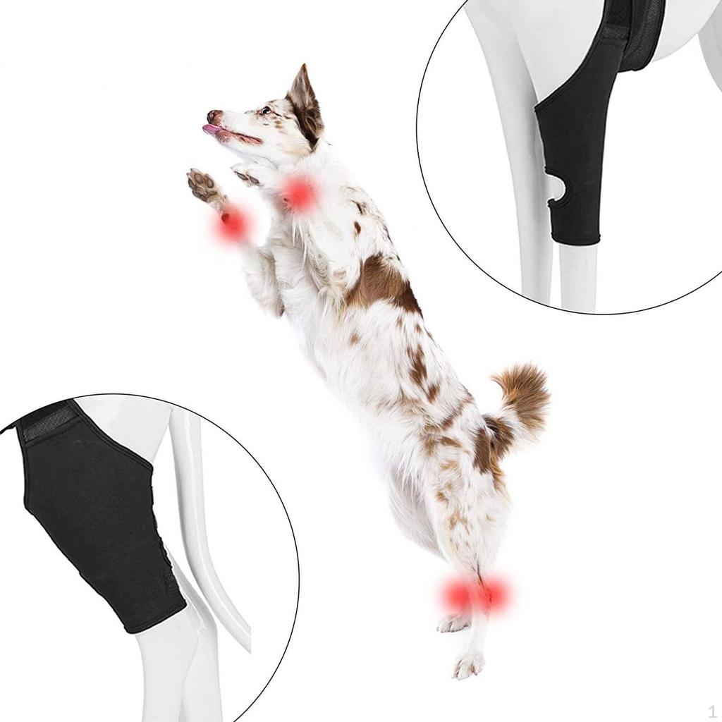 Dog Hip Leg Brace Sleeve Adjustable Quick Installation Soft Anti Slip Strap