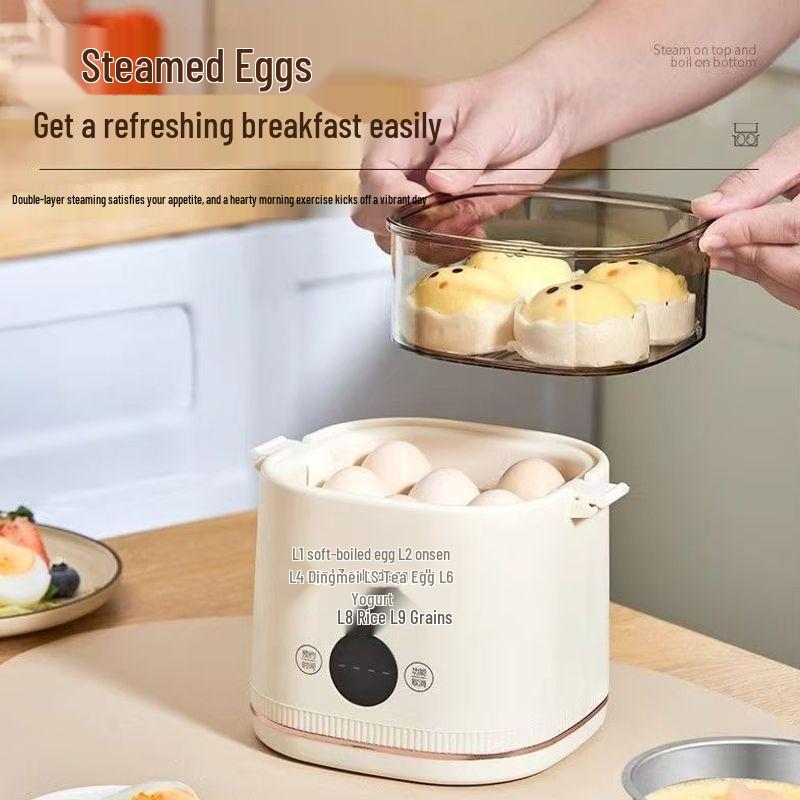 Double-Layer Multifunctional Egg Cooker with Timer and Auto Power-Off