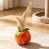 With Feather Cat Toy Persimmon-Shaped Interactive Chasing Pet Toy Portable Pet Toy  Cats Kittens