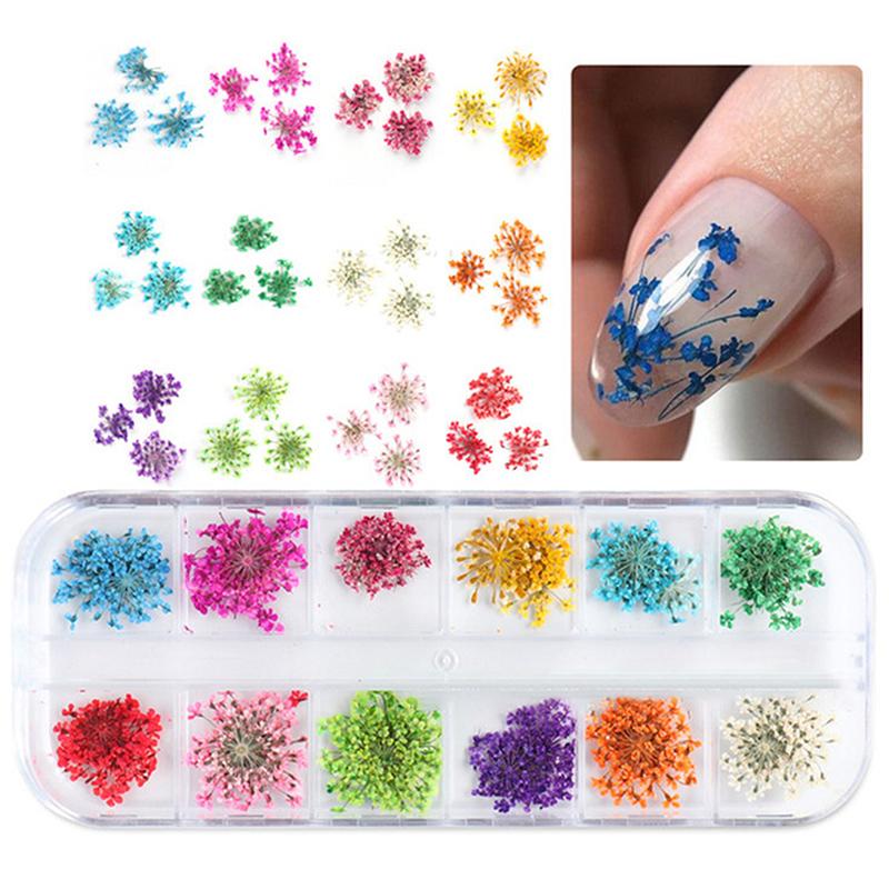 Flower Nail Art Decoration Real Mini Dried Blossom Natural Floral Stickers Nail Charms Diy Manicure Nails Accessories Home Salon