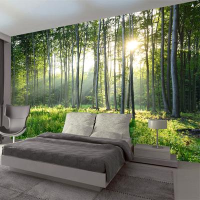 Lesní tapety 3d Zelený les Příroda Scenérie Fototapeta Obývací pokoj Ložnice Pozadí Fototapeta Home Decor