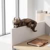 Western Fantasy Dragon Sculpture Decoration Bookshelf Ornaments Dragon Statue  Home Decor