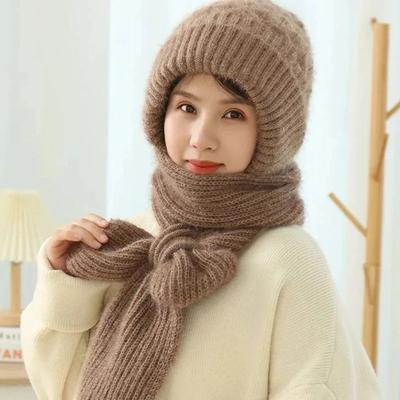 Gestrickte Damen Winter All-in-one Mütze Schal Verdickte Kapuze Ohrenschutz Outdoor Ski Damen Beanies