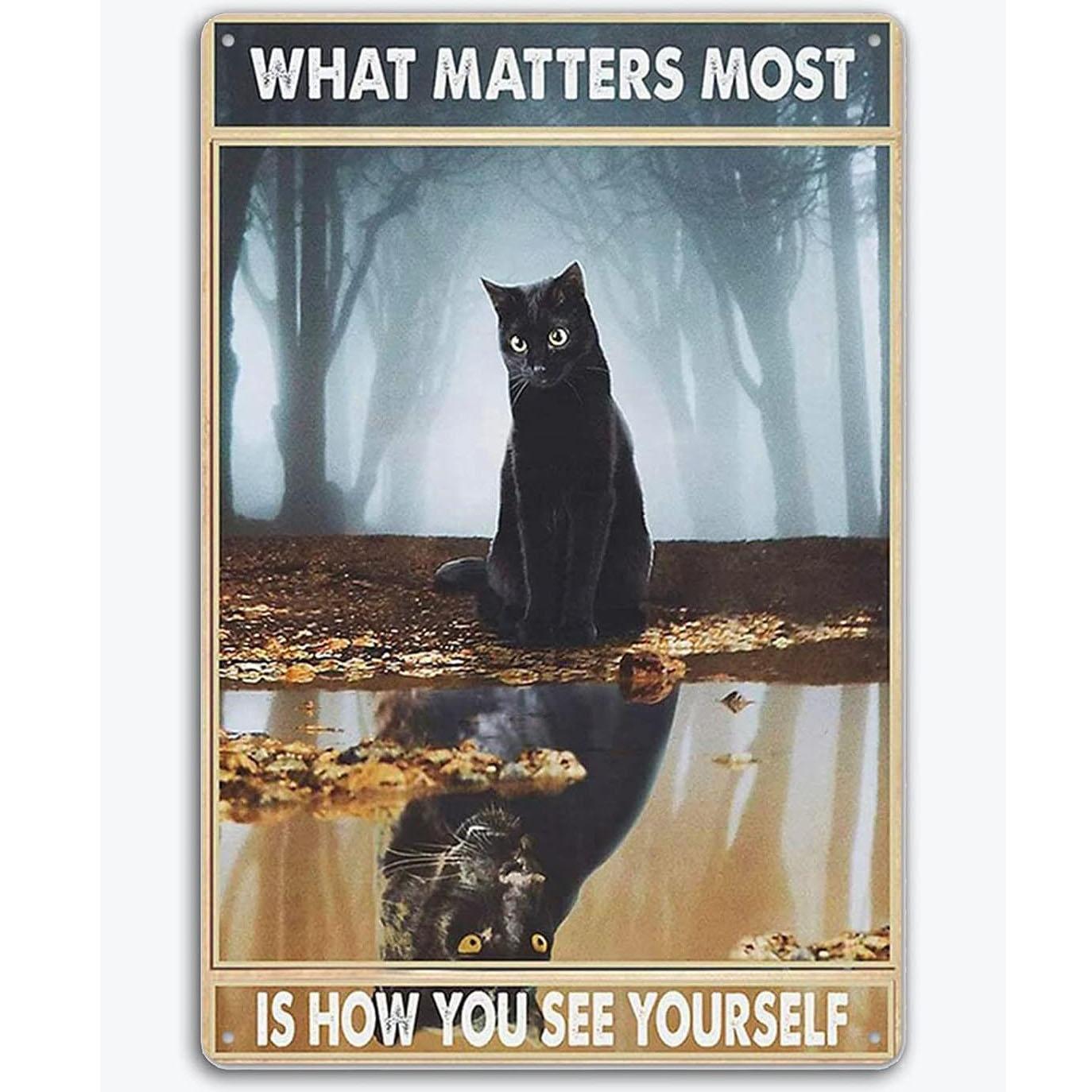 

Black Cat Retro Metal Tin Sign Vintage Style Wall Decoration Home Bar Kitchen Hotel Dining Room Coffee Metal Poster 8x12 Inch 20X30CM
