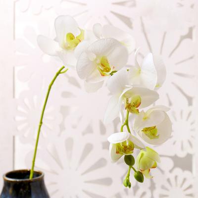 Artificial Flower Realistic Office Ornament Butterfly Orchid 7 Heads Fake Flower for Wedding