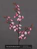 Artificial Plum & Peach Blossom Bonsai: Winter Sweet Flower Decor for Living Room or Study
