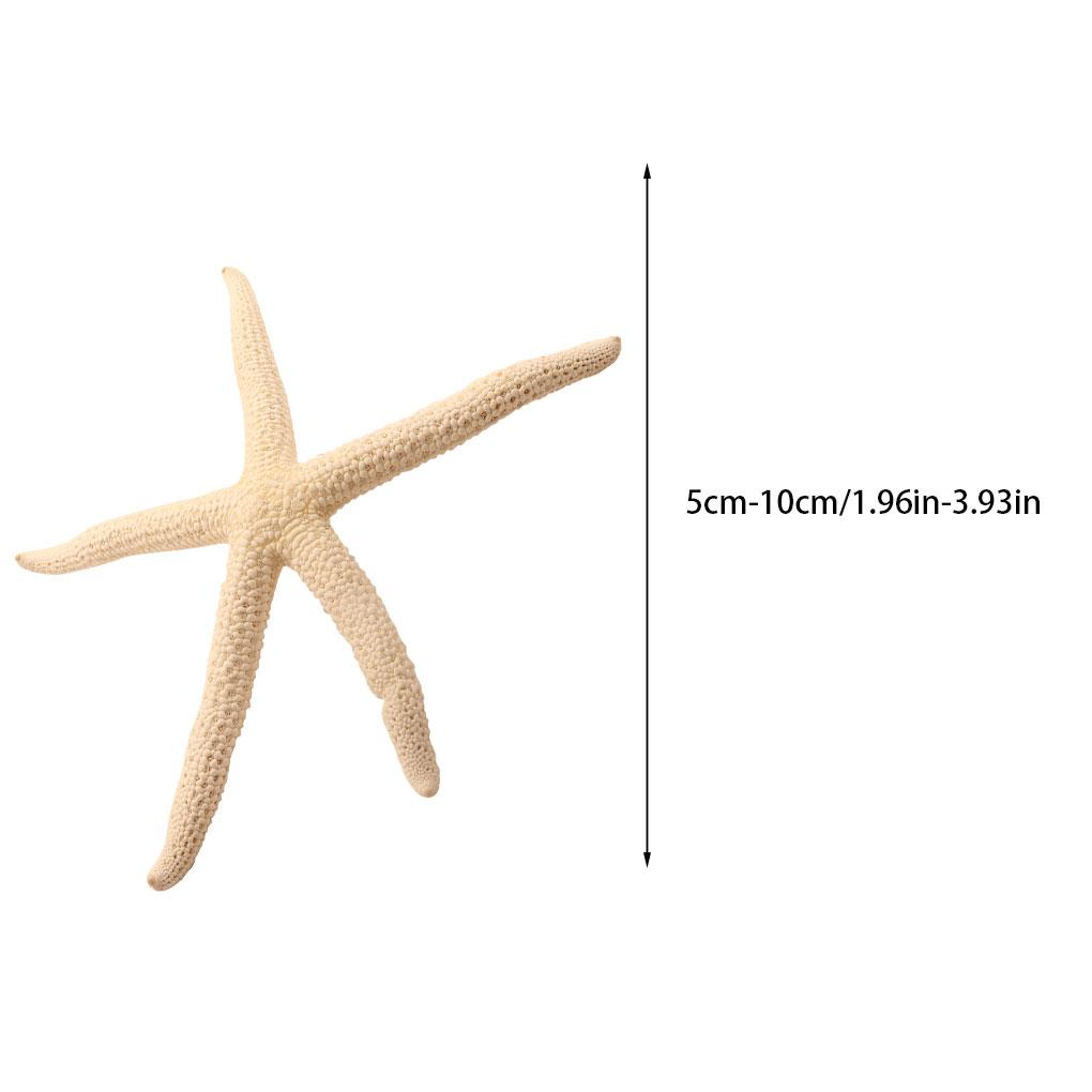 Natural 5-12cm/10-12cm White Finger Starfish Lightweight Conch Shells Ornament Waterproof Wedding Starfish Decor